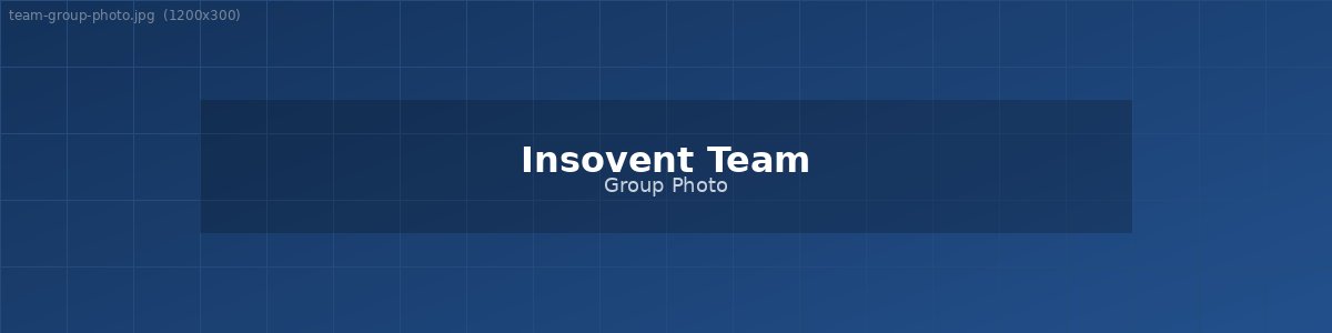 Insovent Team Group Photo