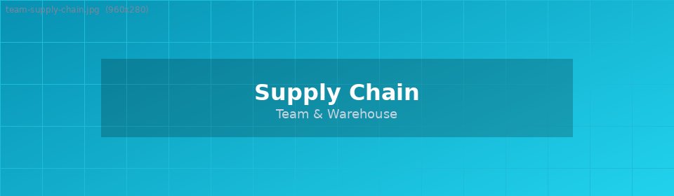 Supply Chain Team